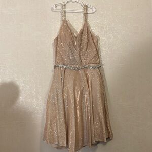 Elegant Champagne Sequin Dress